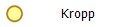 Kropp
